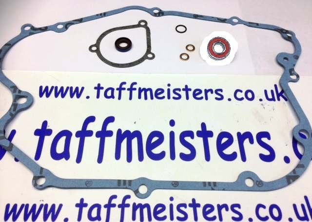 101210 - Taffmeisters Water Pump OIL Leak Repair Kit 2001-2003 All Models
